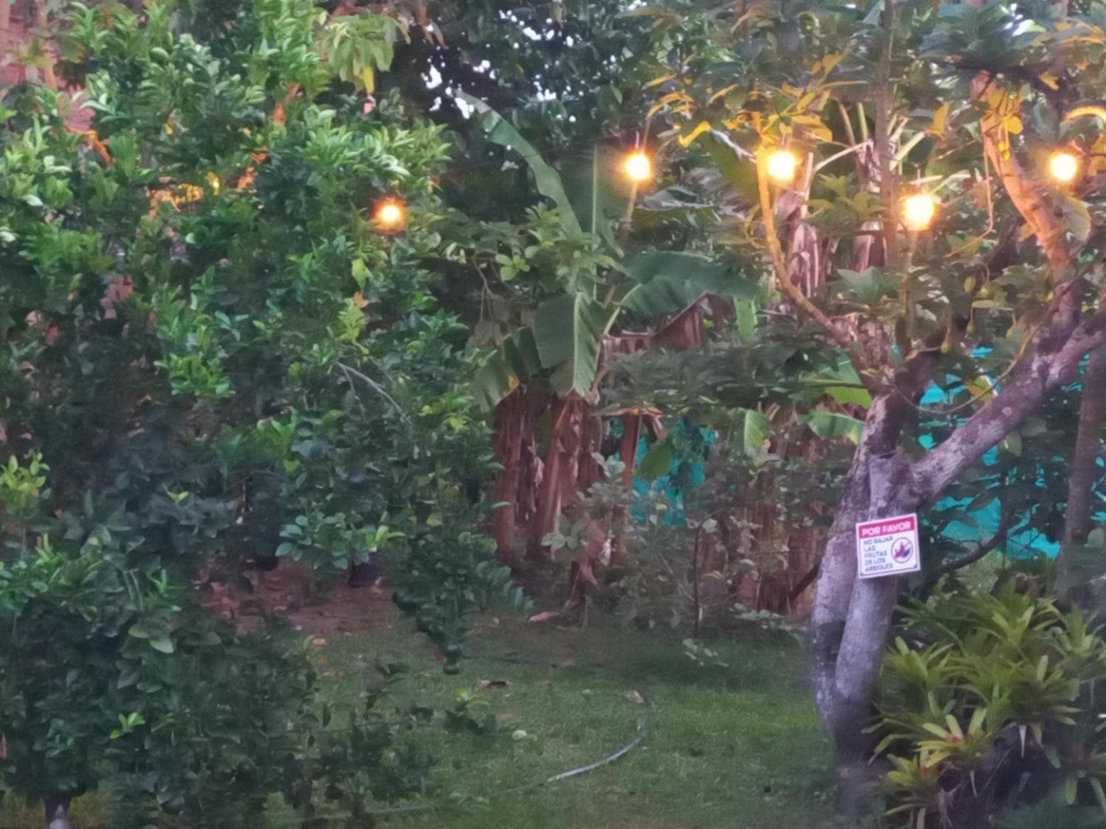 Las Orquideas Rozo المظهر الخارجي الصورة